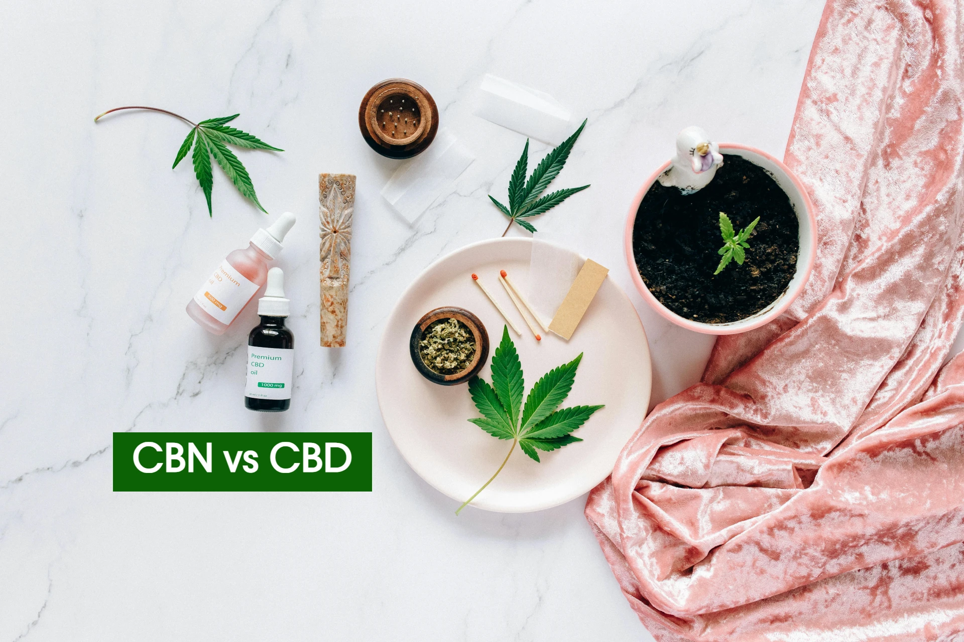 CBN vs CBD CBN vs CBD